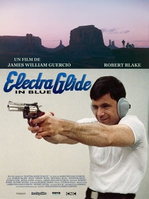 Electra glide in blue